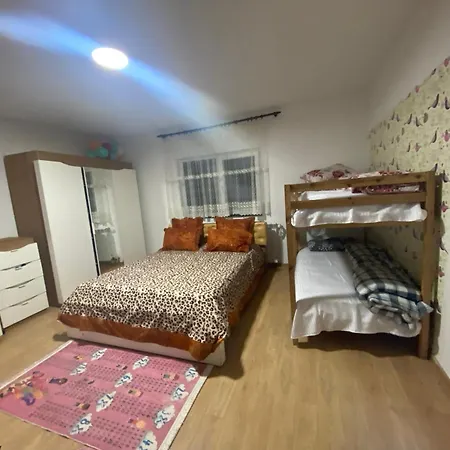 Vrabiuta Holiday home *