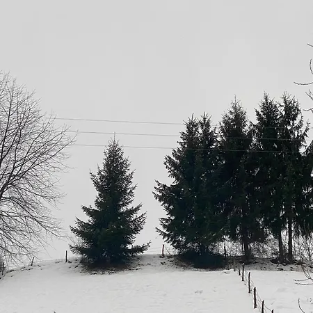 Vrabiuta Holiday home Borsa (Maramures)
