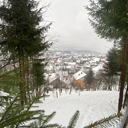 Holiday home Vrabiuta Borsa (Maramures)