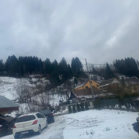 Holiday home Vrabiuta Borsa (Maramures)